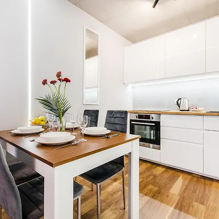 Brown Deluxe Apartamento Breslavia